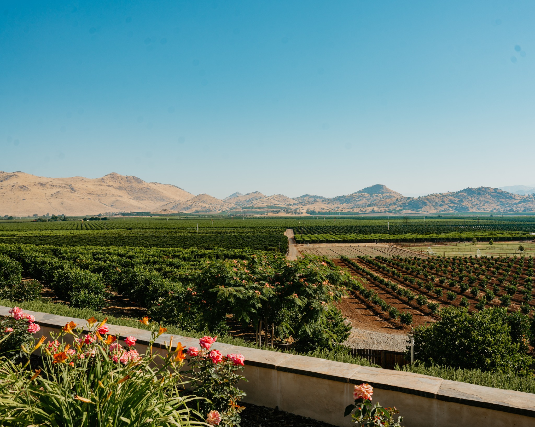 San Joaquin Valley landscape with fields and mountains